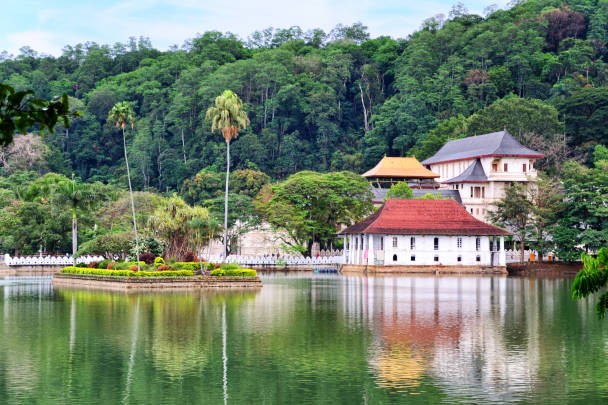 Nature & Heritage Explorer of Sri Lanka