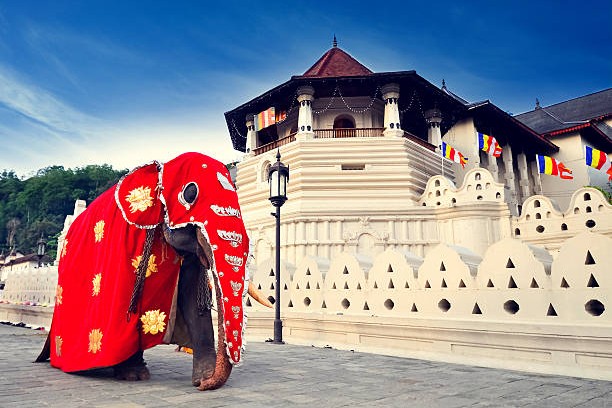 Nature & Heritage Explorer of Sri Lanka