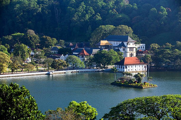 Kandy Cultural & Scenic Day Tour